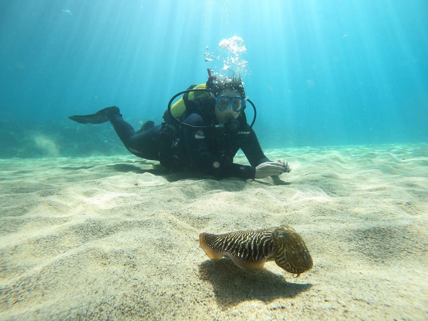 Lanzarote: Scuba Diving for Beginners - 1 Dive - What $106 Buys You