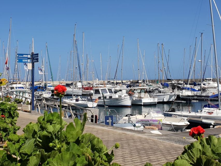 Lanzarote: Sea Safari Experience - The hydrophone adds a different kind of wildlife encounter