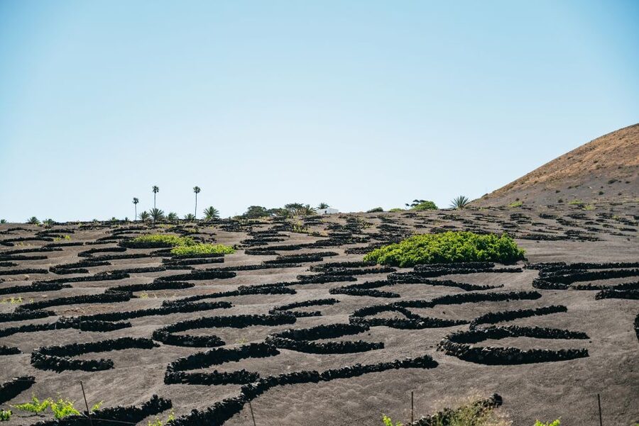 Lanzarote: Timanfaya National Park & La Geria Tour - Hilario’s Plateau and the heat below