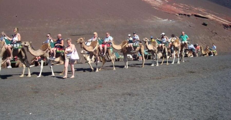 Lanzarote: Timanfaya National Park Tour - Why Timanfaya works so well as a half-day trip