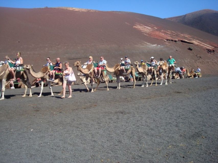 Lanzarote: Timanfaya National Park Tour - Echadero de Camellos and the optional camel ride