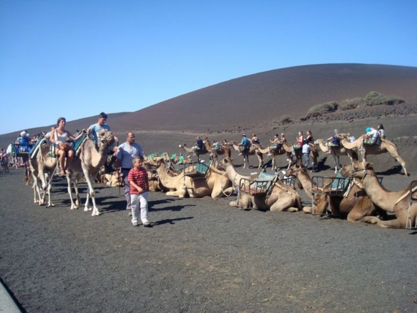 Lanzarote: Timanfaya National Park Tour - Hotel pickup and the coach journey
