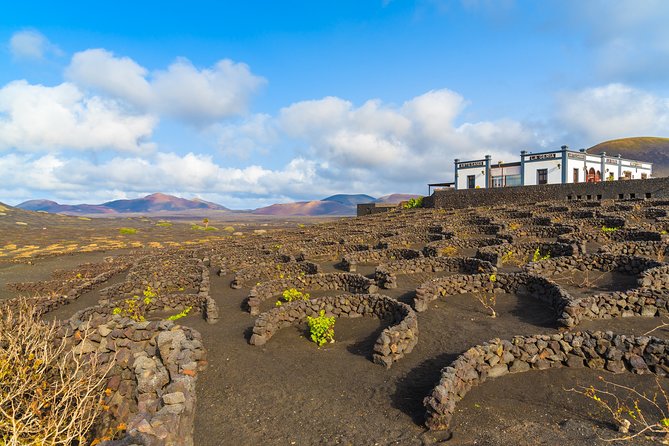 Lanzarote Volcano and Wine Region Tour from Fuerteventura - The ferry from Corralejo to Lanzarote