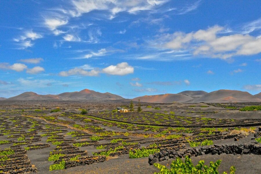 Lanzarote: Volcanos of Timanfaya and Caves Tour with Lunch - Key points to know before booking