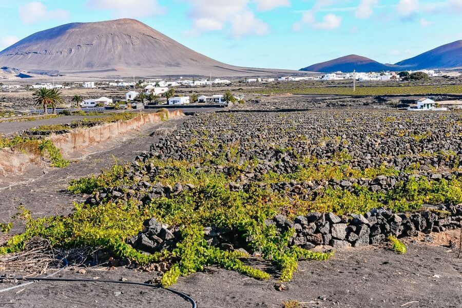 Lanzarote: Volcanos of Timanfaya and Caves Tour with Lunch - How the bus format affects the day