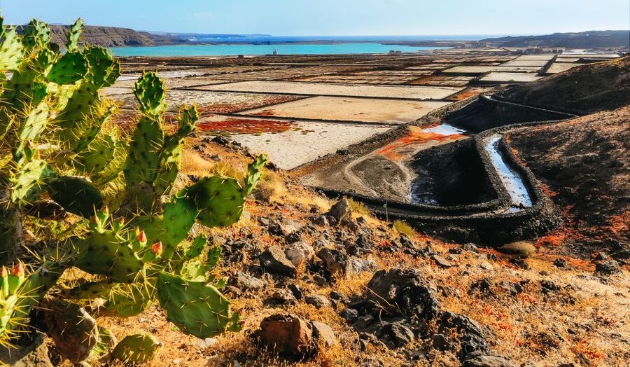 Lanzarote: Volcanos of Timanfaya and Caves Tour with Lunch - Janubio and Los Hervideros: Lanzarote’s rough southern coast