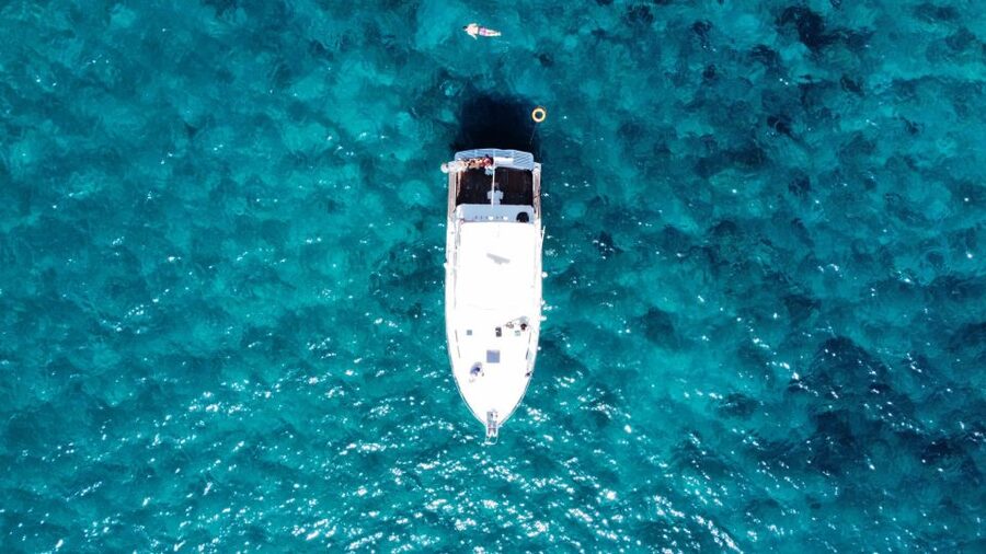 Las Galletas: Whale & Dolphin Tour with Local Skipper - Should you book the Las Galletas whale tour?