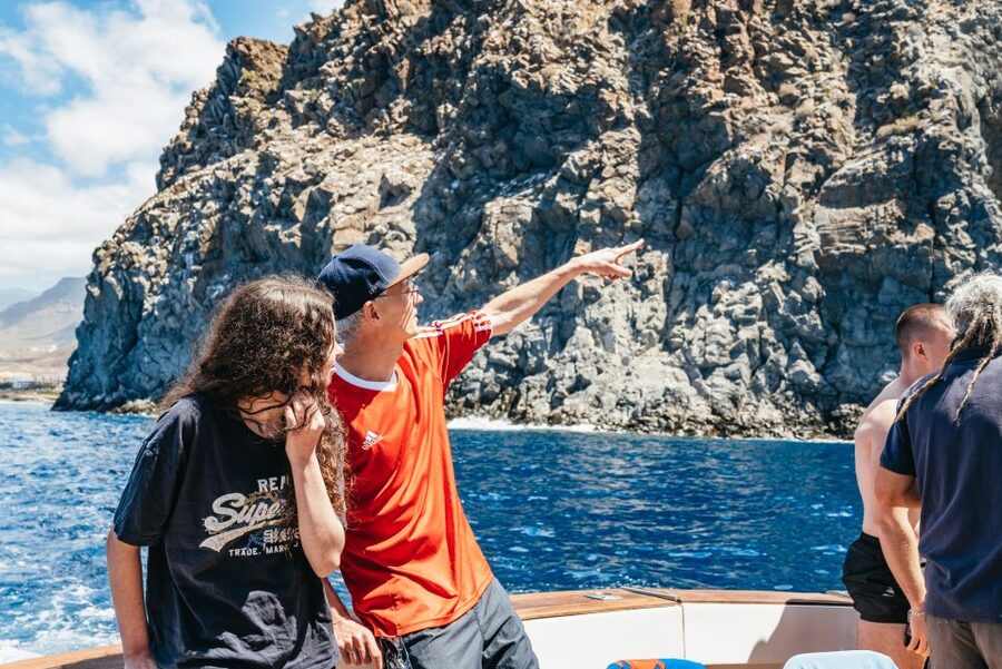 Las Galletas: Whale & Dolphin Tour with Local Skipper - A calm-water stop for swimming and snorkeling