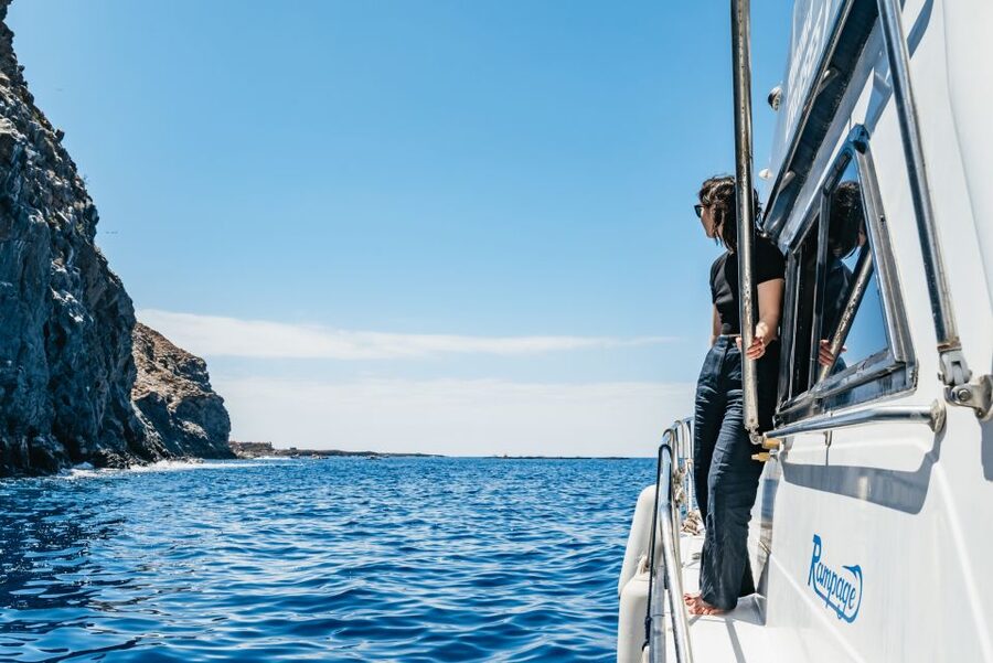 Las Galletas: Whale & Dolphin Tour with Local Skipper - Homemade Canarian-style food after the swim