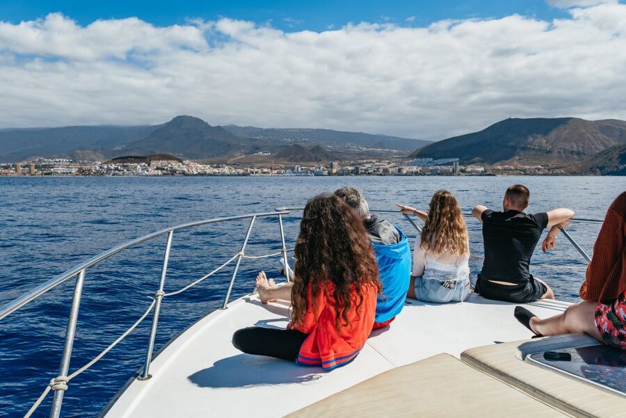 Las Galletas: Whale & Dolphin Tour with Local Skipper - Is $69 good value for this Tenerife boat trip?