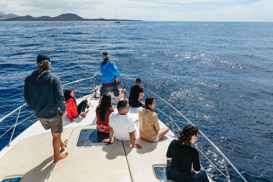Las Galletas: Whale & Dolphin Tour with Local Skipper - Who will enjoy this cruise most?