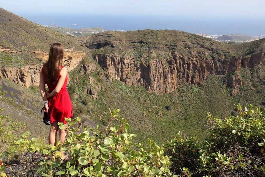Las Palmas, Botanical Gardens and Bandama Volcano Tour - The Canary Islands Botanical Garden in 45 minutes