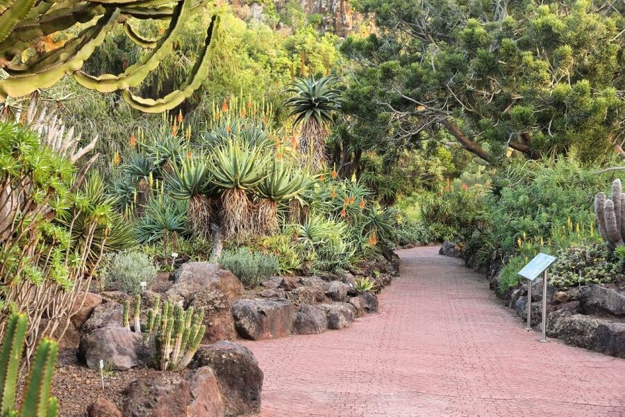 Las Palmas, Botanical Gardens and Bandama Volcano Tour - A guide can make the fast schedule work