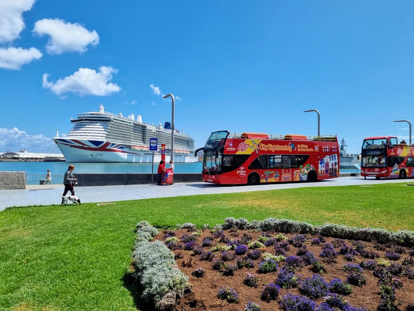 Las Palmas: City Sightseeing Hop-On Hop-Off Bus Tour - Vegueta, the Cathedral, and the best included walking tour