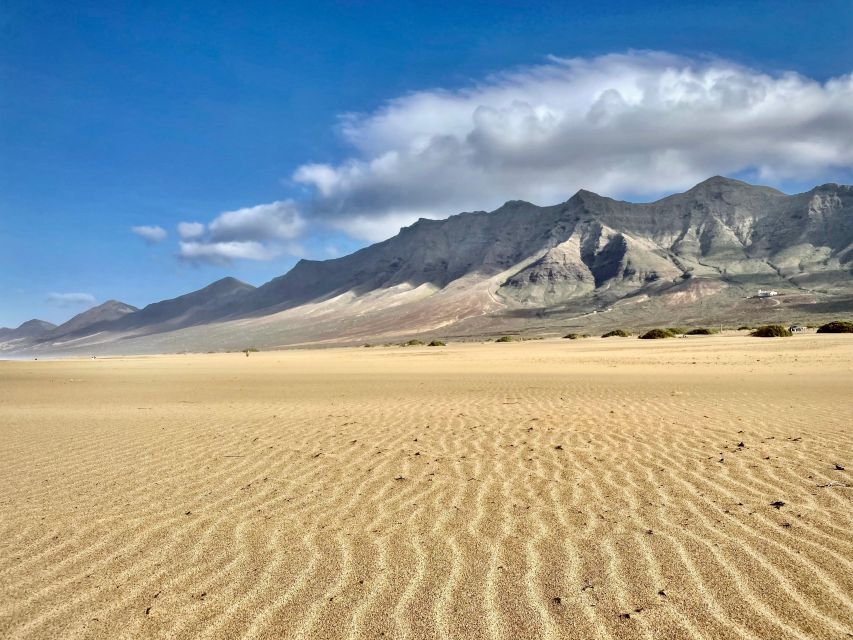 Las Palmas: Fuerteventura Cofete Beach and Desert Safari - El Salmo and the Sotavento Lagoon