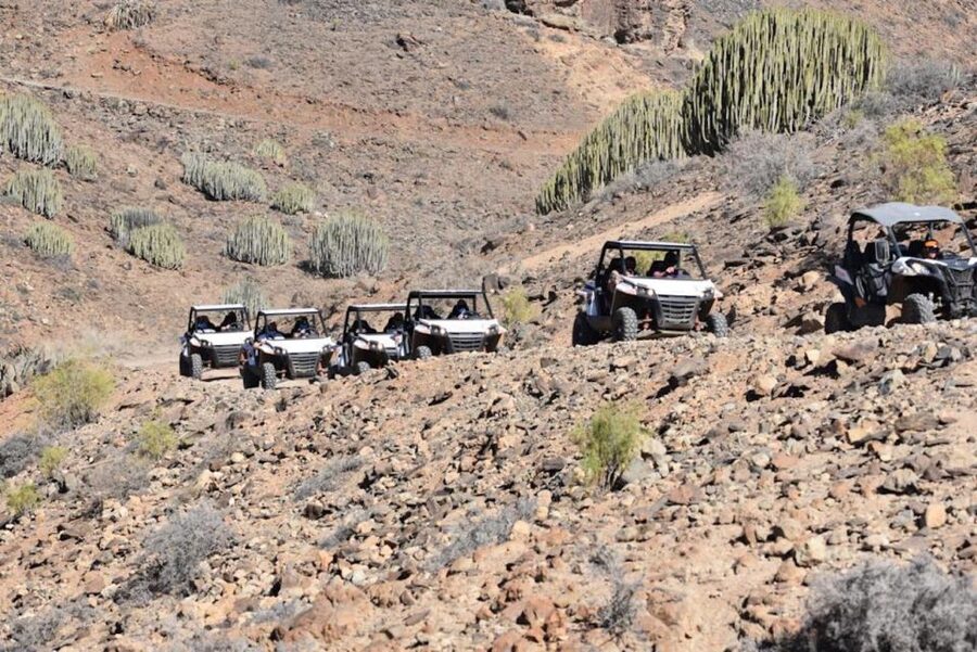 Las Palmas: Gran Canaria Guided Buggy Tour - Rough tracks, careful driving, and bursts of speed