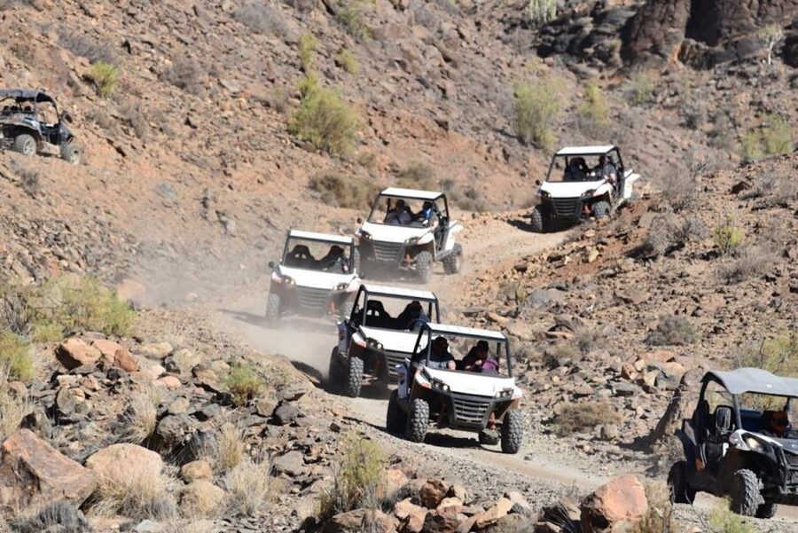 Las Palmas: Gran Canaria Guided Buggy Tour - Viewpoints that give the driving a reason