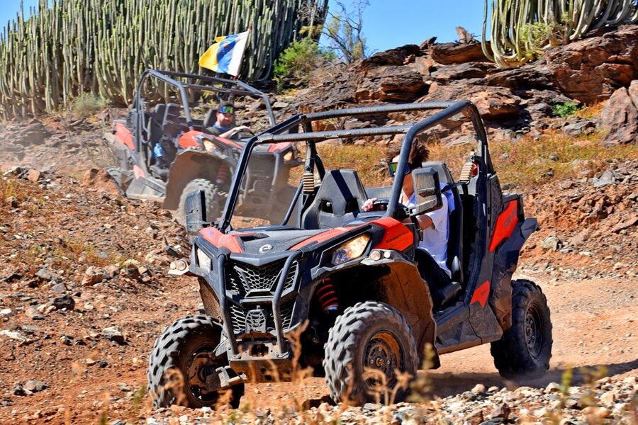 Las Palmas: Gran Canaria Guided Buggy Tour - What the $141 price really buys you