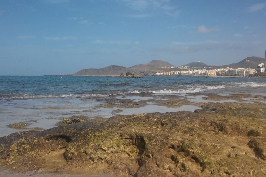 Las Palmas: Las Canteras Beach Snorkeling Trip - Key points to know before you book