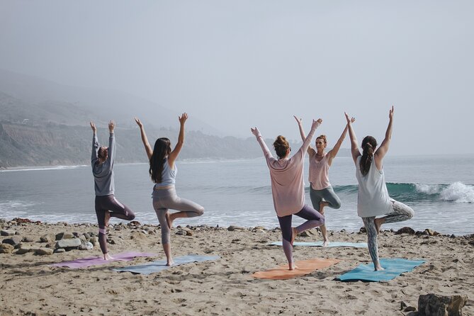 Lezioni di Surf per Beginner e Intermedi (6 persone a istruttore) - Is $60.49 a fair price?
