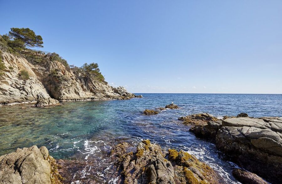 Lloret de Mar: Costa Brava Kayak Tour and Swimming - Paddling from Fenals toward S’Agulla