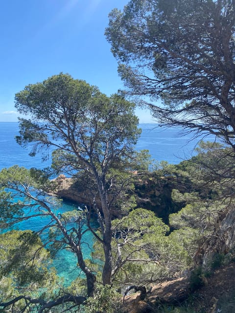 Lloret de Mar: Guided Sightseeing Tour in a 4x4 Vehicle - Practical tips for a smoother outing