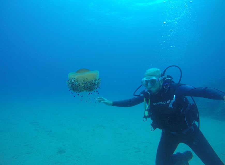 Lloret de Mar: Scuba Diving Experience no License Required - Key points at a glance