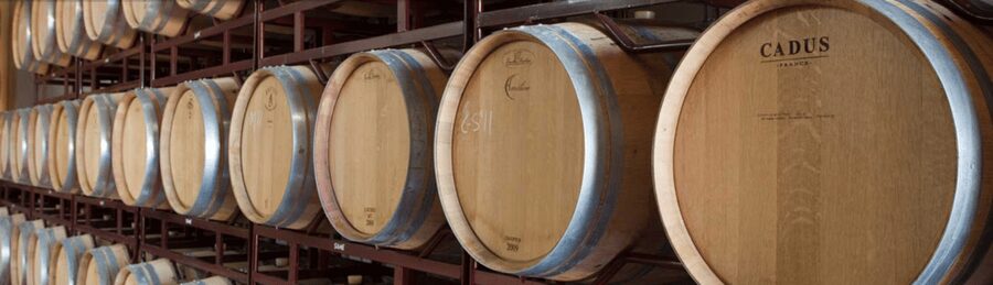 Llucmajor: Bodegas Bordoy Wine Tour - Starting at Bodegas Bordoy in Llucmajor
