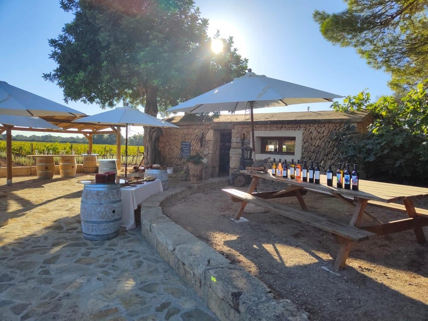 Llucmajor: Bodegas Bordoy Wine Tour - Among the vines before the tasting