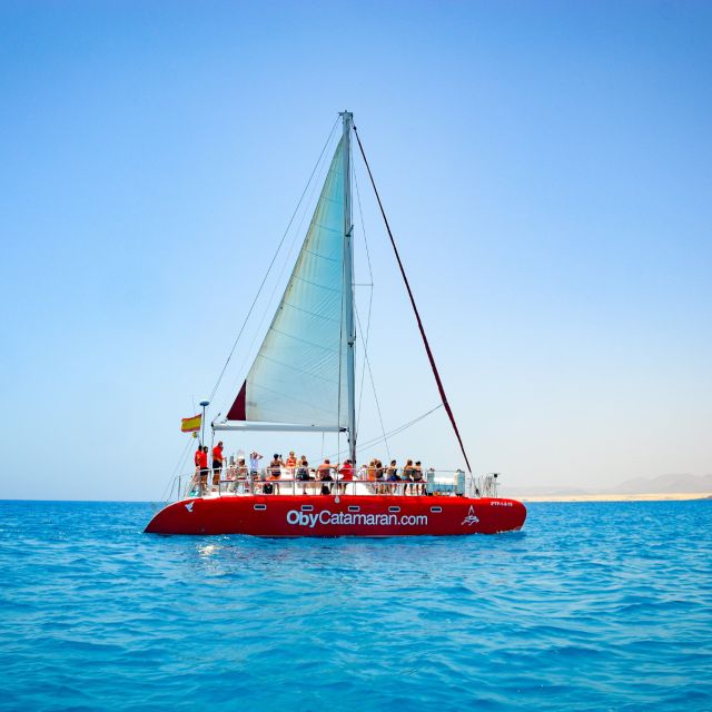 Lobos Island: 4-Hour Catamaran Trip with Lunch - What your four hours on Lobos includes