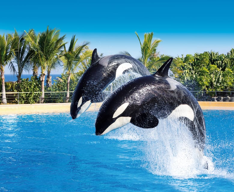 Loro Parque and Siam Park Combined Admission Tickets - Loro Parque: shows, penguins, and a polished animal park