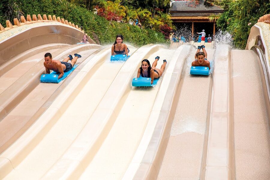 Loro Parque and Siam Park Combined Admission Tickets - Entry, fingerprints, and using the QR code