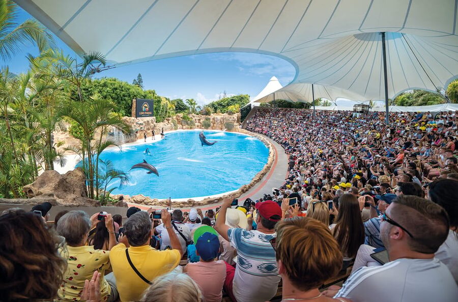 Loro Parque and Siam Park Combined Admission Tickets - Who should book this combined ticket?
