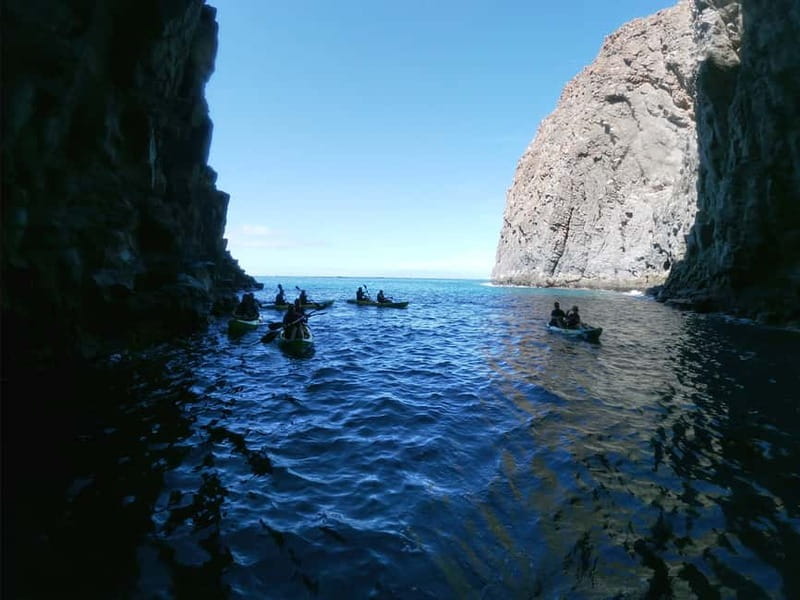 Los Cristianos: Kayak and Snorkel with Turtles and Photos - What this three-hour Tenerife outing is really like