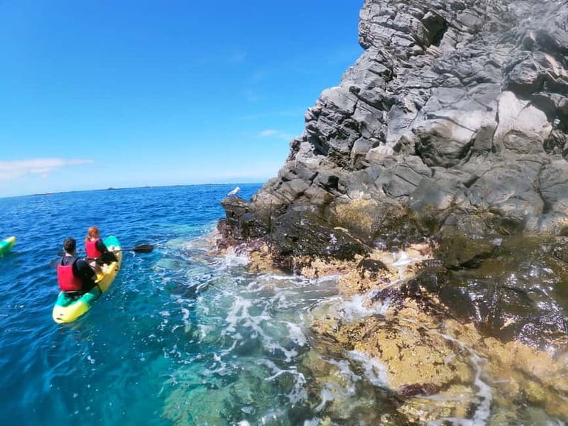 Los Cristianos: Kayak and Snorkel with Turtles and Photos - How hard is the kayaking?