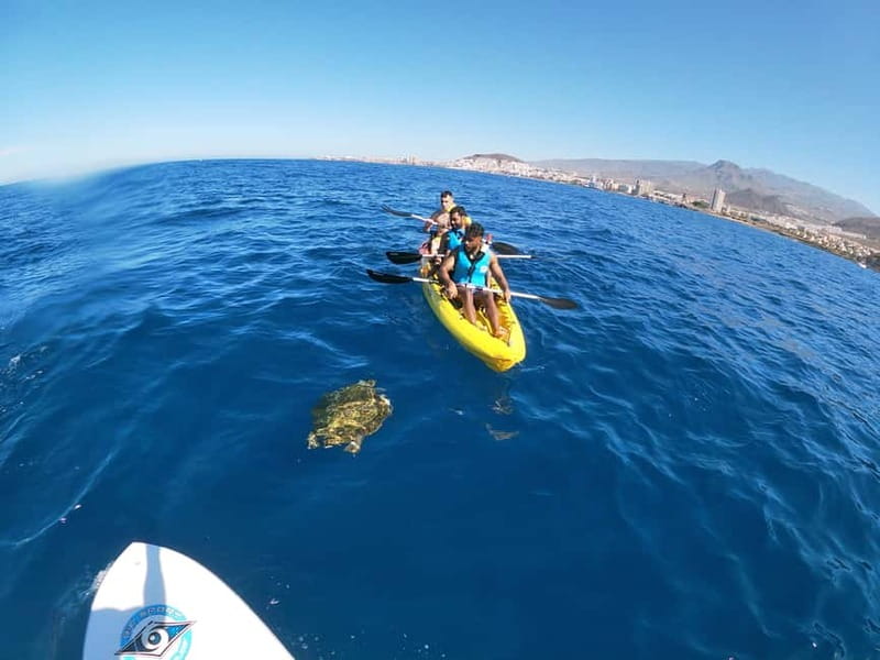 Los Cristianos: Kayak and Snorkel with Turtles and Photos - What the $34 price buys you