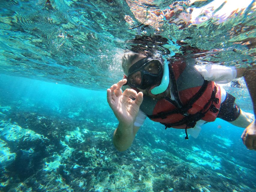 Los Cristianos: Kayaking and Snorkeling with Marine Wildlife - What the €53 price includes