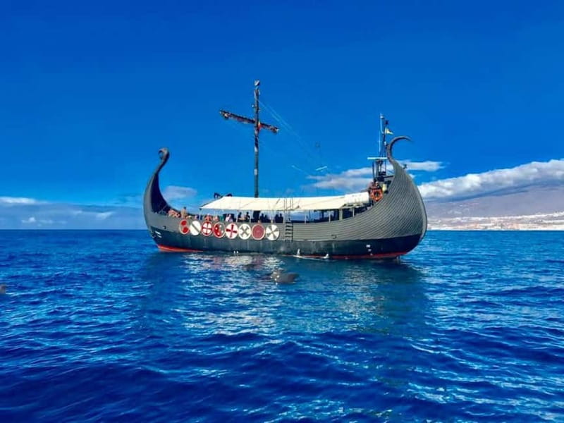 Los Cristianos: Viking Cruise Whales & Dolphins Watching - What the Viking theme adds