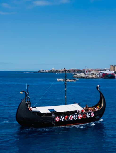 Los Cristianos: Viking Cruise Whales & Dolphins Watching - Who will enjoy this cruise most?