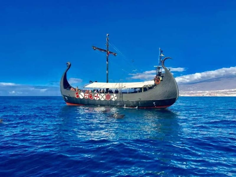 Los Cristianos: Whale Watching Cruise w/Swim Stop & Drinks - Key points at a glance