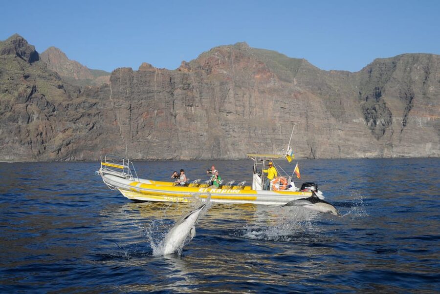 Los Gigantes: Dolphin and Whale Watching Cruise by Speedboat - The speedboat ride toward the sanctuary