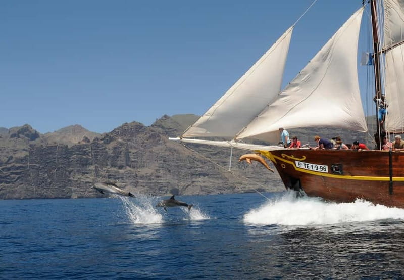 Los Gigantes: Dolphin and Whale Watching Tour with Drinks - Setting off from Los Gigantes Harbor