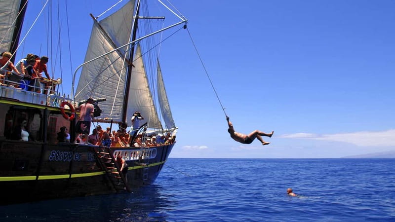 Los Gigantes: Dolphin and Whale Watching Tour with Drinks - Paella, fruit, and drinks on the three-hour sailing