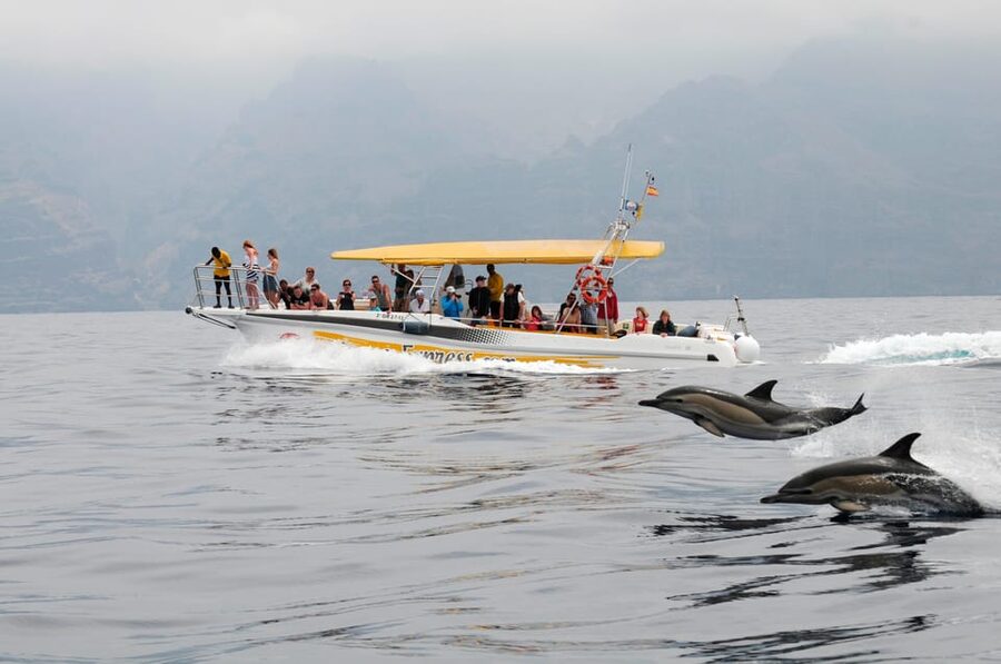 Los Gigantes: Dolphin & Whale Watching Cruise with Swim Stop - Leaving Los Gigantes Port for the open sea