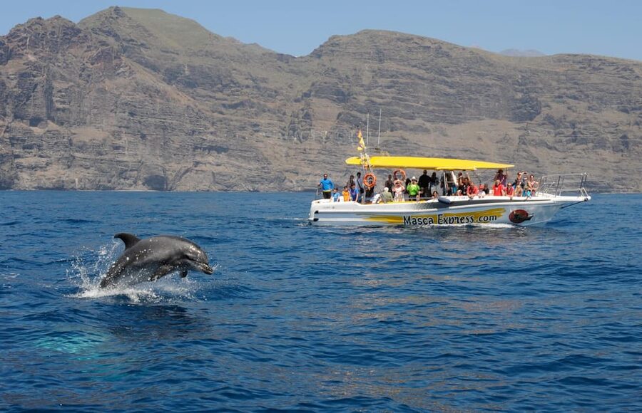 Los Gigantes: Dolphin & Whale Watching Cruise with Swim Stop - Sailing beneath Los Gigantes and Masca