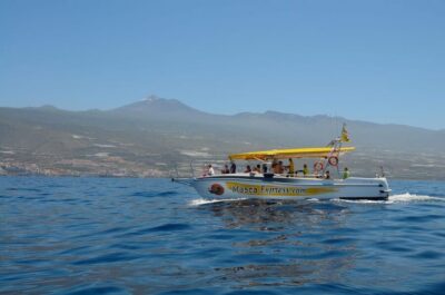 Los Gigantes: Dolphin & Whale Watching Cruise with Swim Stop