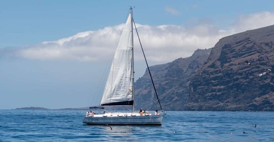 Los Gigantes: Sailing Excursion with Swimming, Drink & Tapas - Whale and dolphin watching offshore