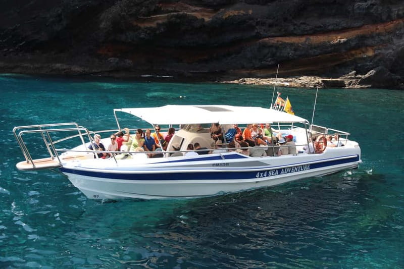 Los Gigantes: Whale or dolphin watching and swimming tour in Masca - Key points to know before booking