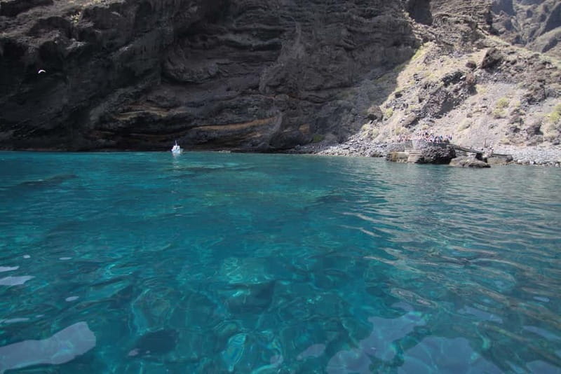 Los Gigantes: Whale or dolphin watching and swimming tour in Masca - My call: book it if you want a short coastal adventure