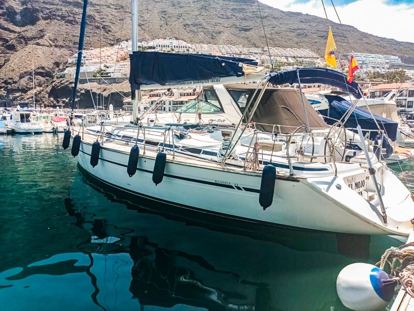 Los Gigantes: Whales and Dolphin Watching Cruise with Lunch - Who should book this cruise?